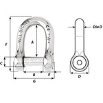 Wichard Self-Locking Allen Head Pin D Shackle - 8mm Diameter - 5/16" [01304]